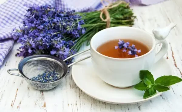 فواید و مضرات مصرف اسطوخودوس