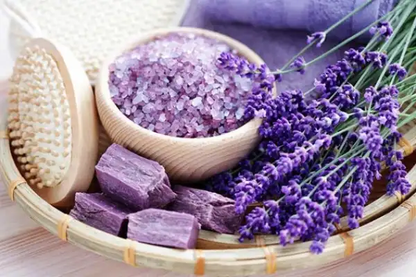 فواید و مضرات مصرف اسطوخودوس خواص اسطوخودوس