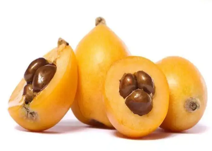 انواع ازگیل
