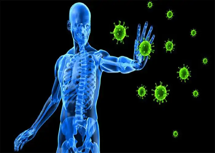 روش های تقویت سیستم ایمنی بدن