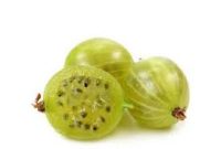 اطلاعات گیاه آمله