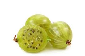 اطلاعات گیاه آمله