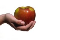 پلی کیستیک و عادات غذایی