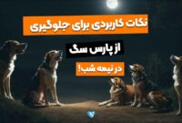 5 نکته کاربردی برای جلوگیری از پارس سگ در شب!