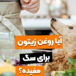 6 فایده روغن زیتون برای سگ!_67138596e13c8.jpeg