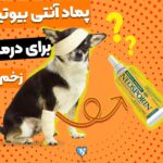 7 تا از بهترین پماد آنتی بیوتیک برای زخم سگ_6713859b45e1c.jpeg