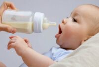 تبلیغات شیرخشک و پستانک ممنوع است/ جزئیات دورکاری مادران باردار