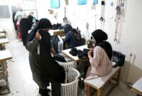 تشریح اقدامات بهزیستی برای اشتغال مددجویان در دولت سیزدهم