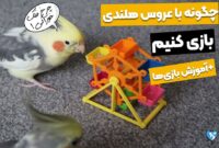 چگونه با عروس هلندی بازی کنیم؟ معرفی و آموزش 3 بازی