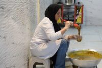 کارآفرینی بانوی محلاتی در فضای ۲ متری کارآفرینی بانوی محلاتی در فضای ۲ متری