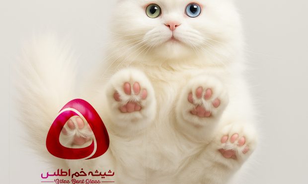 3a90ea56 4b1b 4587 9623 f8f0dd40283a