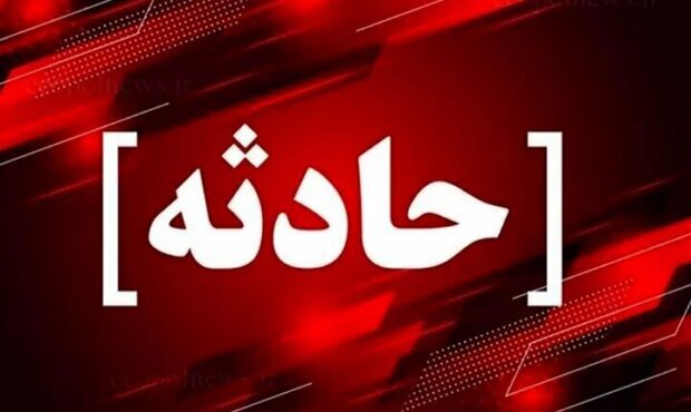 ضرب‌وشتم کارشناس نظارت دامپزشکی بویراحمد توسط متخلف بهداشتی