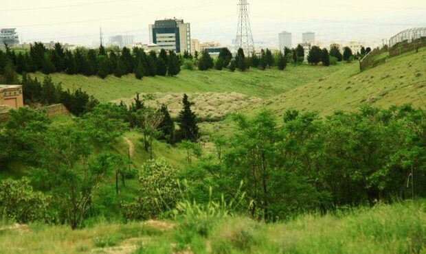 قرنطینه موقت مرکز بازپروری پردیسان به دلیل شیوع ویروس «پن‌لوکوپنی»