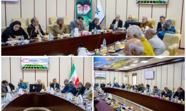 مدیرکل شیلات استان بوشهر: زمینه ارتقای تولید میگو فراهم می‌شود