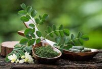 ناشتا آب موریگانا بخورید چربی و قند خون تنظیم می شود