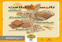 پویش ملی «نانو سلامت» در تربت‌حیدریه آغاز شد