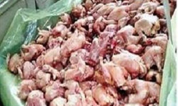 ۲۱۸ کیلوگرم مرغ فاسد در کاشان کشف شد