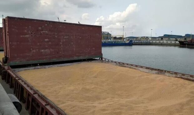 بابایی: نهاده‌های دامی گیلان با نظارت دقیق ترخیص می شوند