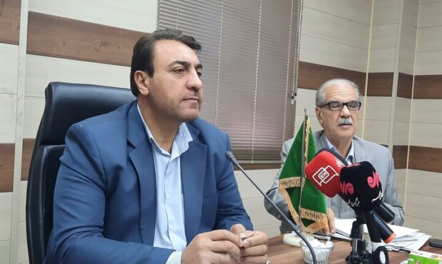 نوید کاهش قیمت گوشت در گلستان؛ واردات ۳۰ هزار رأس دام سبک در راه است