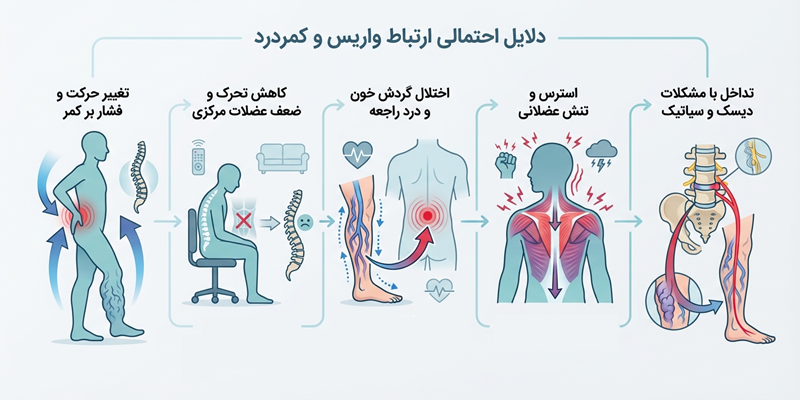علل احتمالی ارتباط واریس و کمردرد