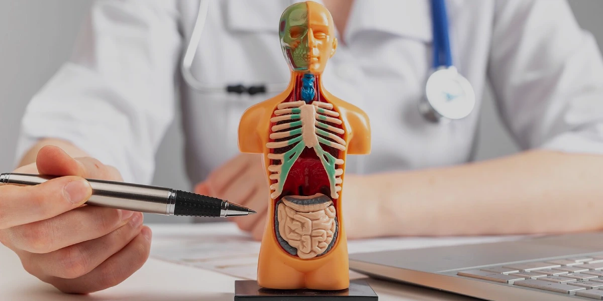 متخصص داخلی