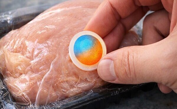 ایروژل‌های هوشمند برای تشخیص فساد مواد غذایی طراحی شدند