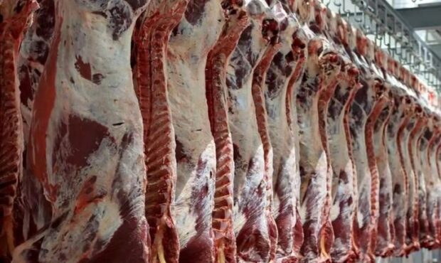 سلامت عمومی در خطر است؛ لزوم برخورد با کشتار غیرمجاز دام در کرمانشاه