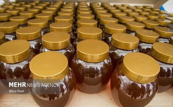 شاهی: مجوز صادرات ۱۴۰ تن عسل از خوانسار صادر شد