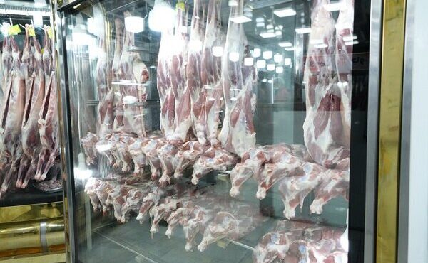 عرضه گوشت و مرغ با قیمت ۱۰ تا ۱۵ درصد زیر بازار در پاوه