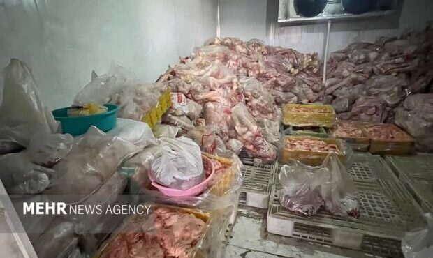 پلمب سردخانه غیرمجاز و کشف فرآورده خام دامی فاسد در حاشیه تبریز
