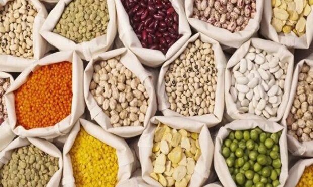 ۹۴۰ تن حبوبات به ظن قاچاق در البرز کشف شد