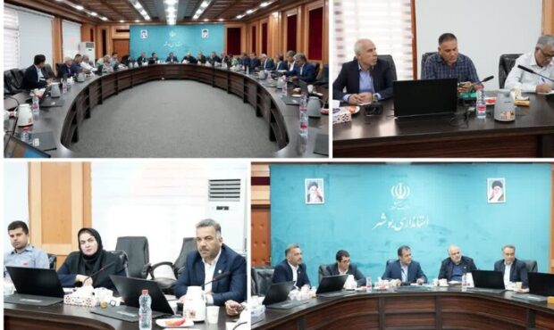 امینی: جایگاه استان بوشهر در تولید میگوی پرورشی کشور تقویت می شود