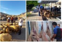 اجرای موفق طرح نظارت بهداشتی عید قربان در کرمانشاه