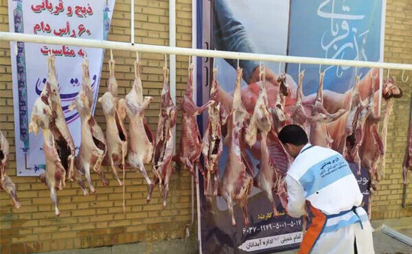 فعالیت ۸۸ اکیپ دامپزشکی برای نظارت بر ذبح شرعی در آذربایجانشرقی فعالیت ۸۸ اکیپ دامپزشکی برای نظارت بر ذبح شرعی در آذربایجانشرقی