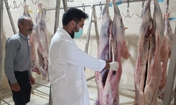 استقرار ۵۱ گروه دامپزشکی برای نظارت بر ذبح دام‌های نذری در مرکزی