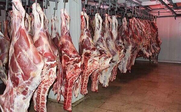 بیش از ۲۰۰ کیلوگرم گوشت غیرمجاز در کرمانشاه معدوم شد