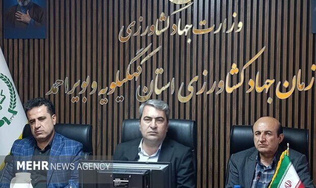 خرید ۵۵ هزار تن گندم و تولید ۲۹ هزار تن ماهی در کهگیلویه و بویراحمد