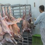 فعالیت ۲۵ اکیپ نظارت بهداشتی دامپزشکی اردبیل در ایام حسینی_6a39cab9e1403.jpeg