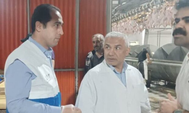پایش و نظارت بر کشتارگاه صنعتی طیور کرمانشاه
