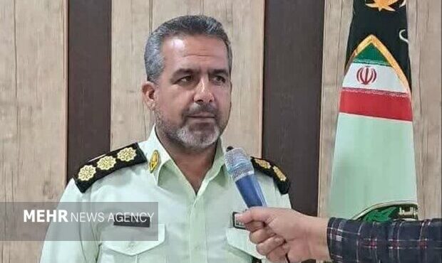 کشف ۲۵ راس احشام فاقد مجوز در میامی؛ ۲ خودروی متخلف توقیف شدند