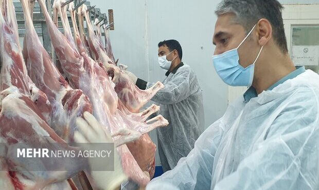 ۴۶ تن فراورده های خام دامی غیر بهداشتی در اردبیل معدوم شد