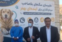 ۸۰۵ سگ در سنندج زنده گیری شد؛ لزوم آموزش شهروندان در مواجهه با سگ‌ها