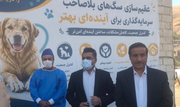 ۸۰۵ سگ در سنندج زنده گیری شد؛ لزوم آموزش شهروندان در مواجهه با سگ‌ها
