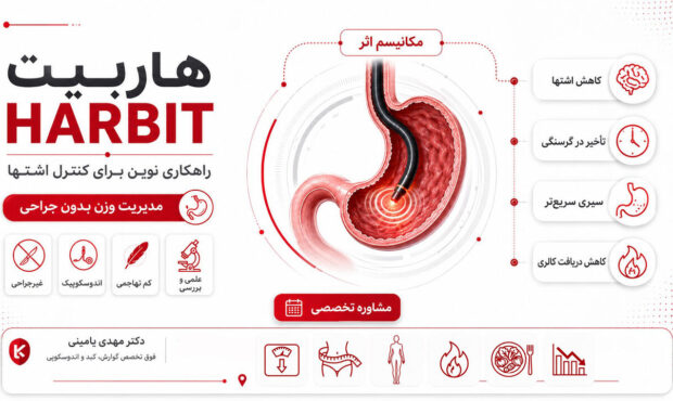 هاربیت لاغری چیست؟ معرفی علمی روش HARBIT برای کاهش اشتها و کنترل وزن بدون جراحی
