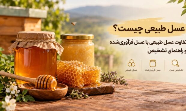 عسل طبیعی چیست؟ تفاوت عسل طبیعی با عسل فرآوری‌شده و راهنمای تشخیص